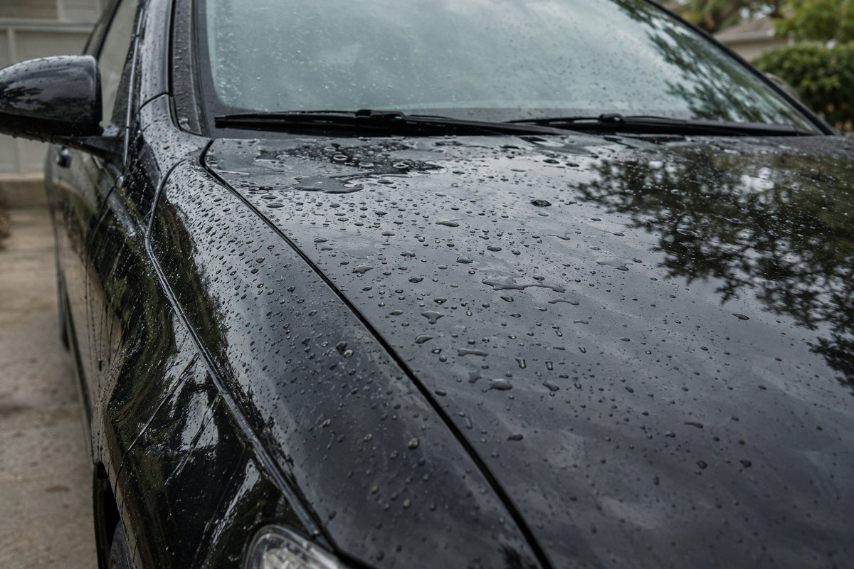 Water beading on a glossy black car hood with a fresh ceramic coating