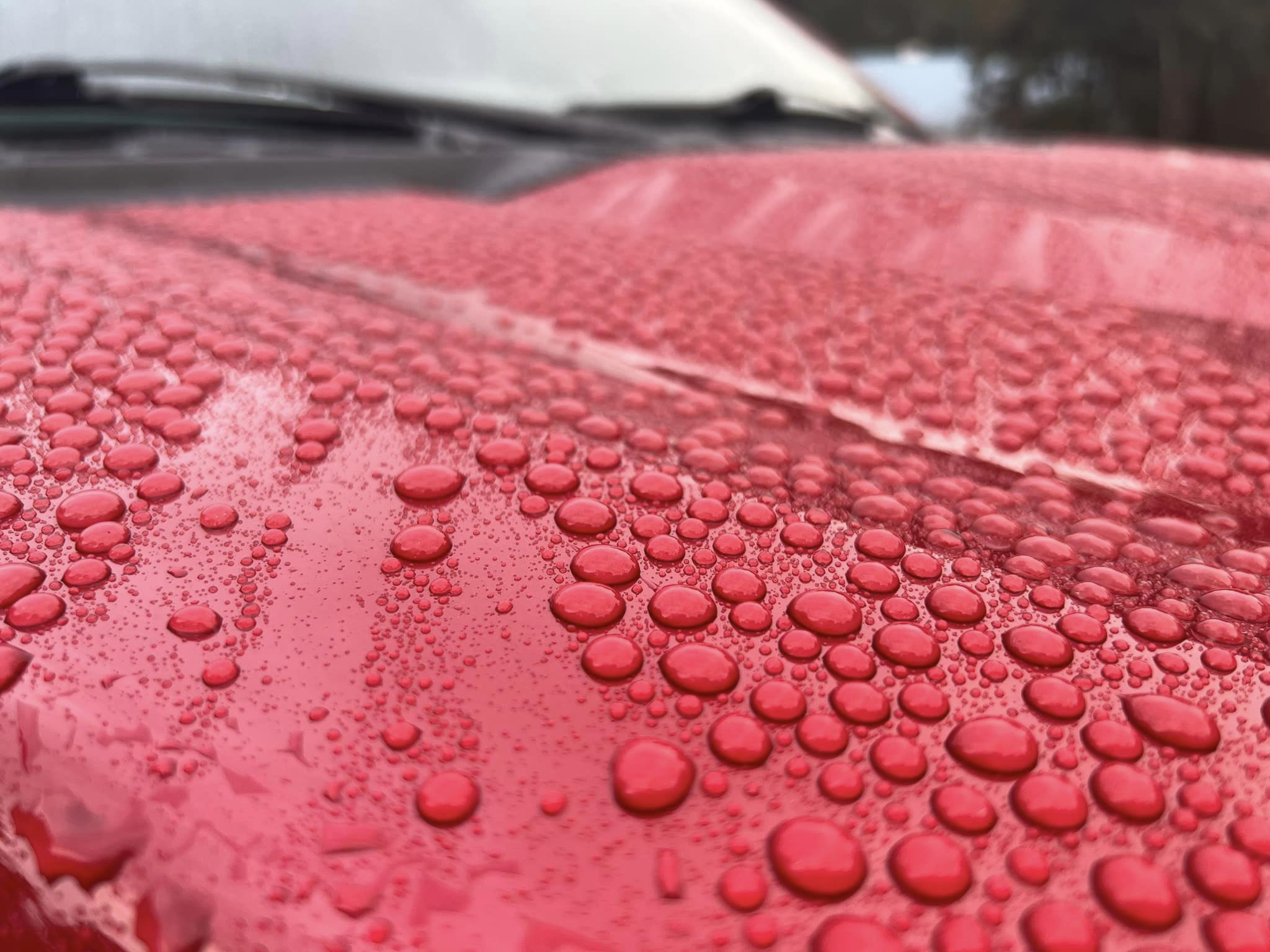 Close-up view of water droplets beaded on the shiny red surface of a car hood, with the windshield and a blurred background visible in the upper part of the image.