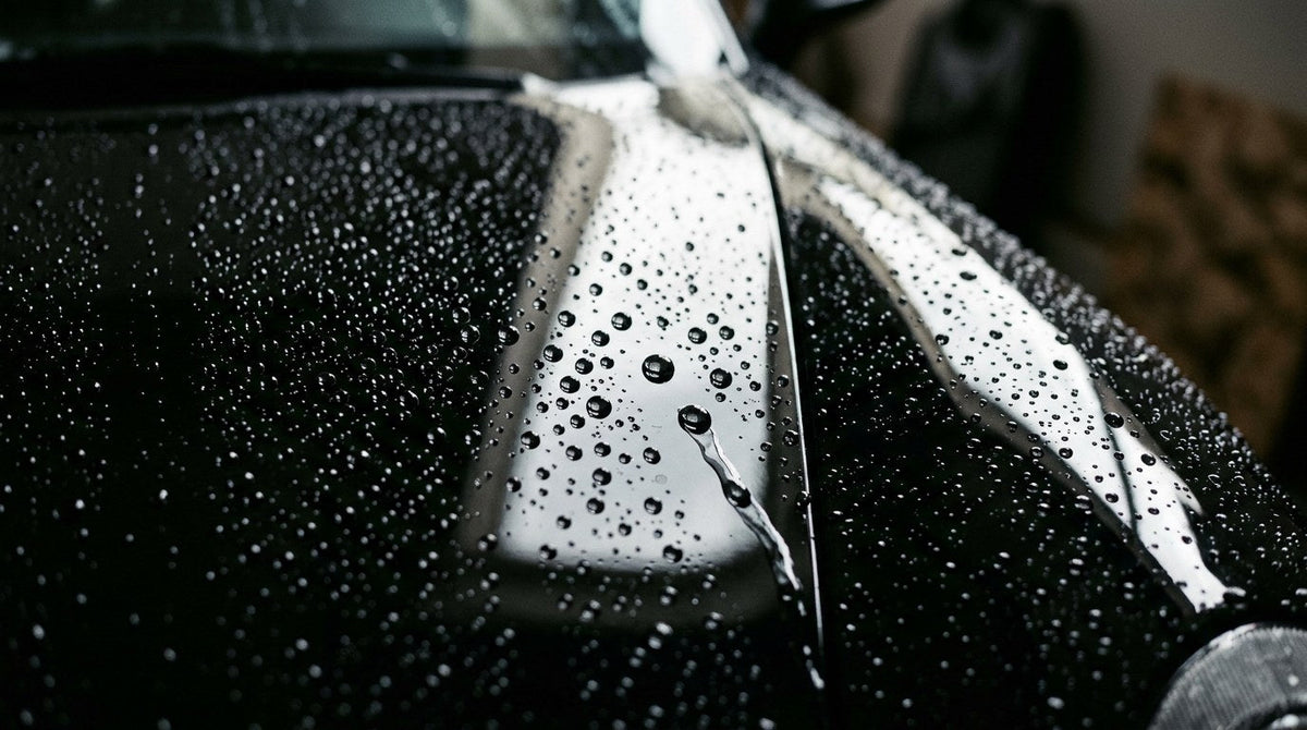 Water beading tight on a black ceramic-coated car hood in natural window light showing fully cured hydrophobic performance